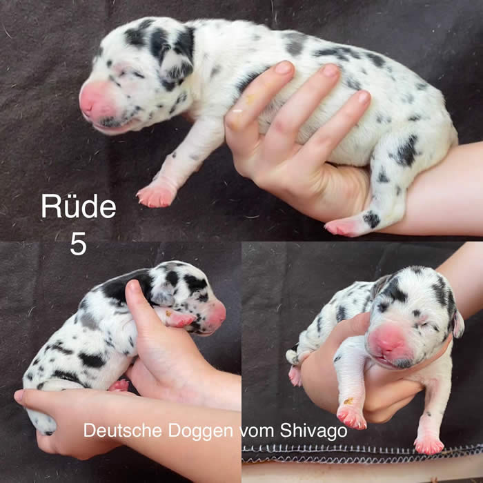 Ist möglicherweise ein Bild von Text