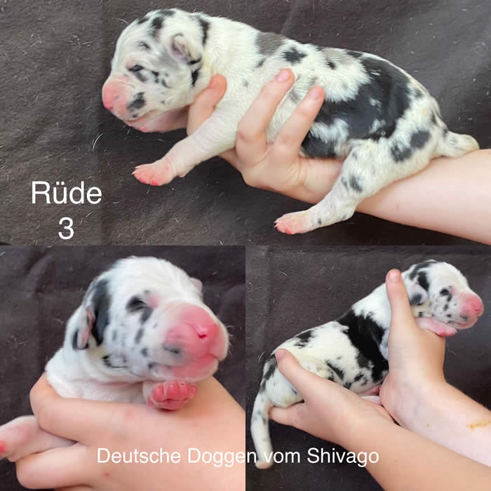 Ist möglicherweise ein Bild von Text