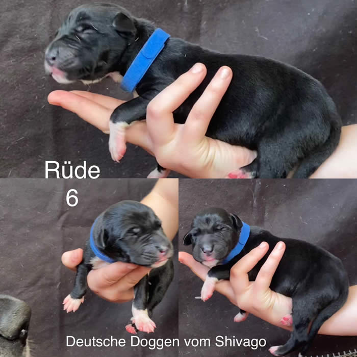 Keine Fotobeschreibung verfügbar.