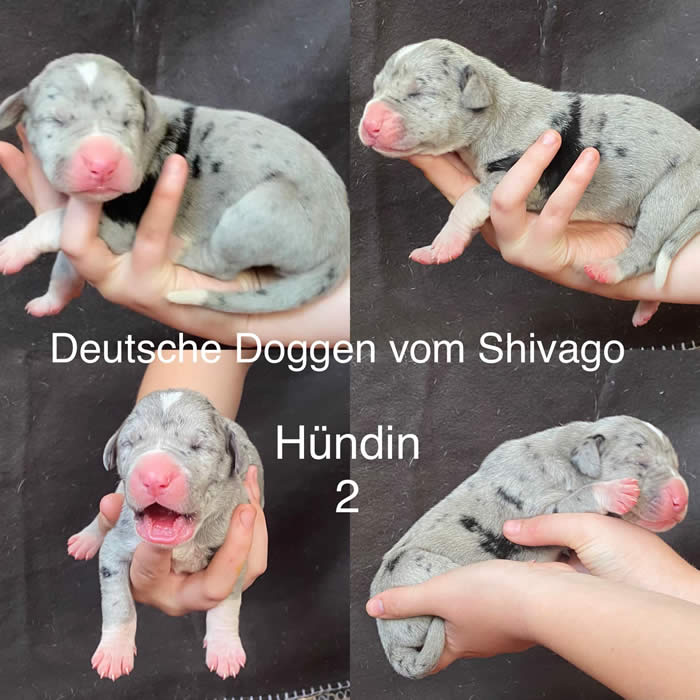 Ist möglicherweise ein Bild von Text