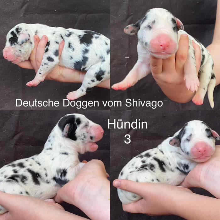 Ist möglicherweise ein Bild von Text