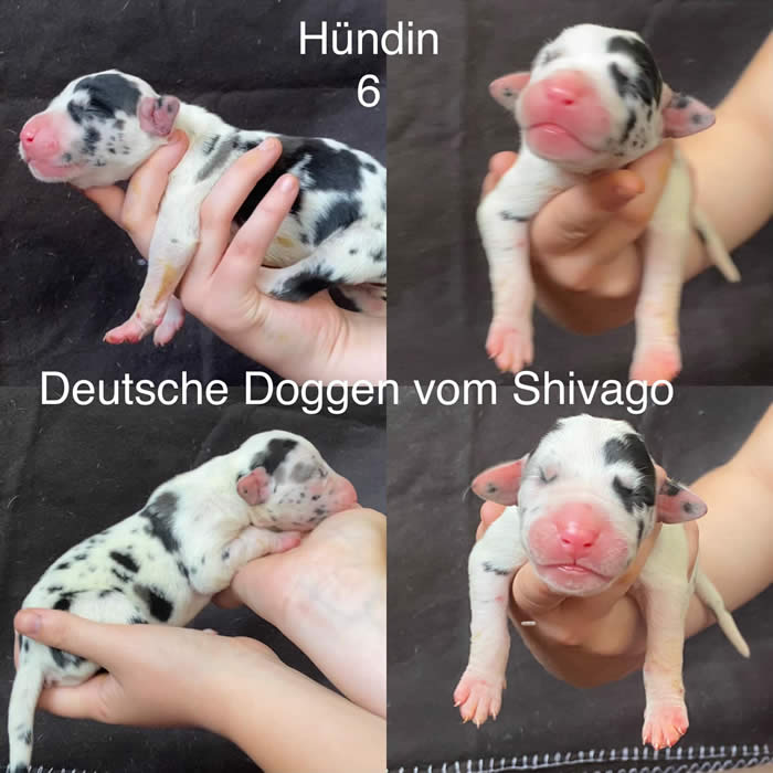 Ist möglicherweise ein Bild von Text