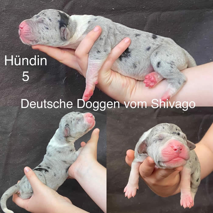 Ist möglicherweise ein Bild von Text