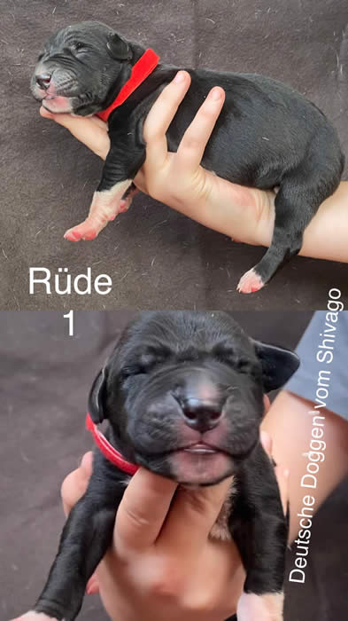 Ist möglicherweise ein Bild von Text