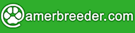 Dog Breeds in Americas
