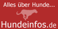 hundeinfos.de - Das Hundeportal