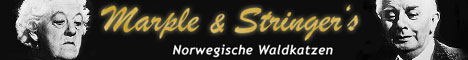 Marple and Stringer's Banner - 468 x 60 px